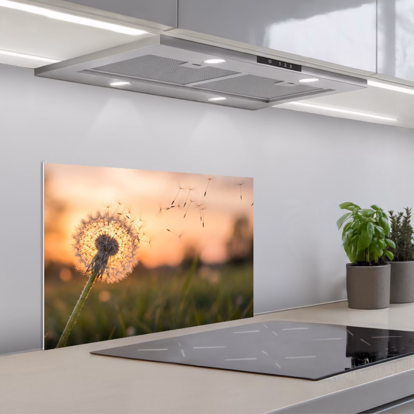 Fond de hotte - Pissenlit - Coucher de soleil - Champ — 1