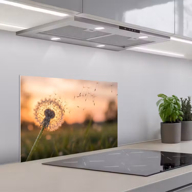 Fond de hotte - Pissenlit - Coucher de soleil - Champ — 1