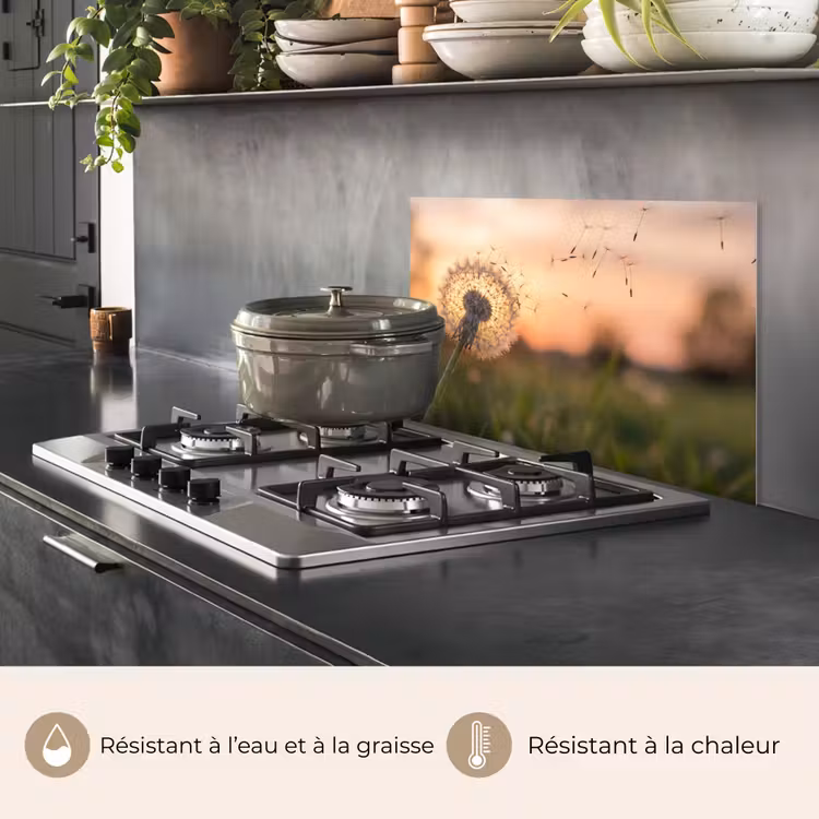 Fond de hotte - Pissenlit - Coucher de soleil - Champ — 2