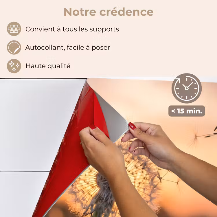 Fond de hotte - Pissenlit - Coucher de soleil - Champ — 4