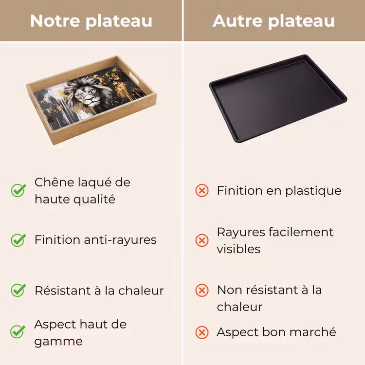 Plateau - Lion - Portrait - Taches de peinture - Gris — 9