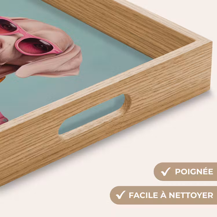 Plateau - Chien - Chemise - Fleurs - Lunettes — 8