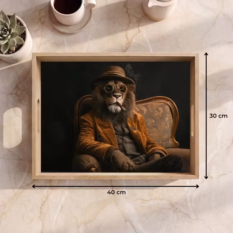 Plateau - Lunettes - Lion - Banc - Chapeau — 7