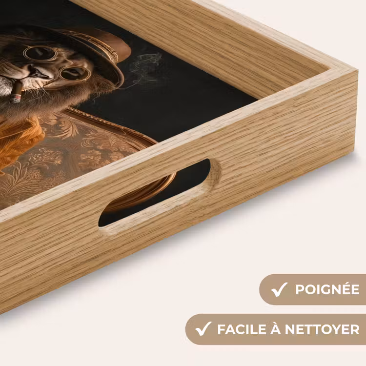 Plateau - Lunettes - Lion - Banc - Chapeau — 8