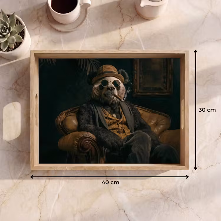 Plateau - Panda - chapeau - lunettes - costume — 7