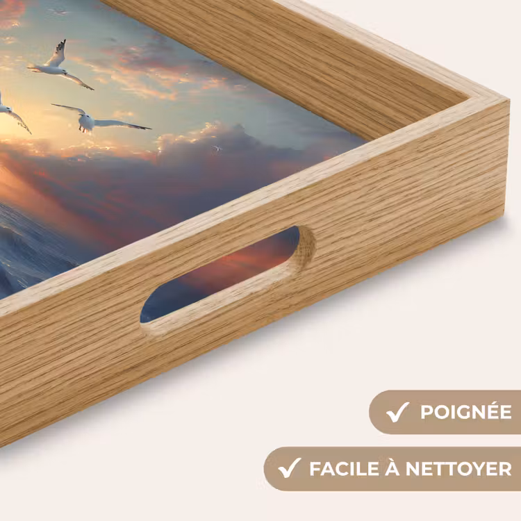 Plateau - Mouettes - Coucher de soleil - Mer - Nuages — 8