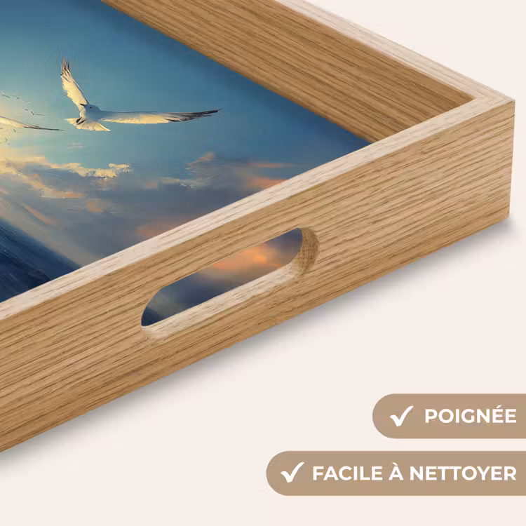 Plateau - Mouettes - Mer - Nuages - Bleu — 8