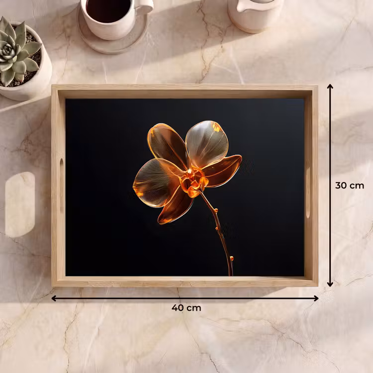 Plateau - Orchidée - Transparent - Fleur — 7
