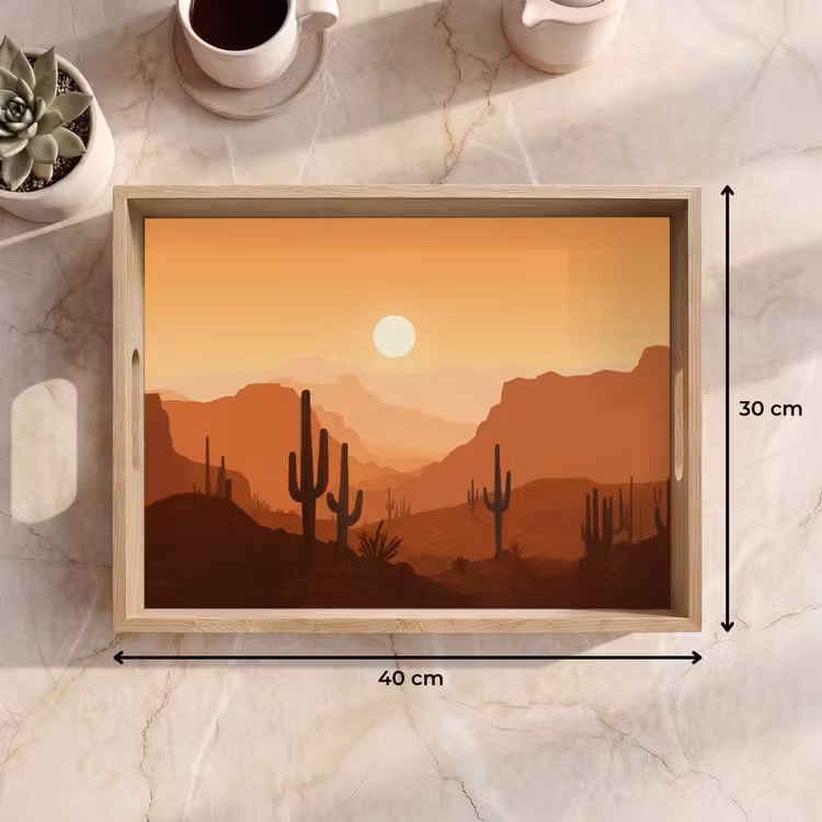 Plateau - Paysage - Désert - Cactus - Soleil — 7