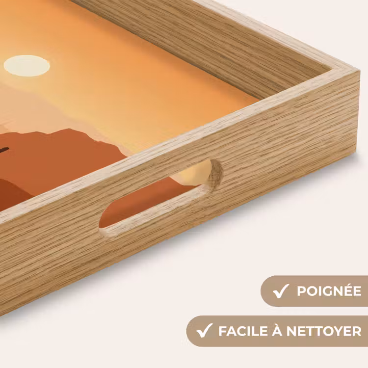 Plateau - Paysage - Désert - Cactus - Soleil — 8