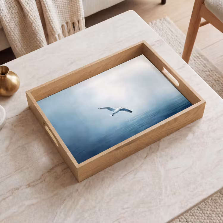 Plateau - Mouette - Blanche - Mer - Brumeuse — 2