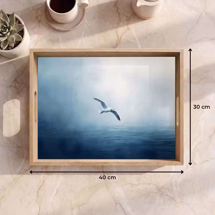 Plateau - Mouette - Blanche - Mer - Brumeuse — 7
