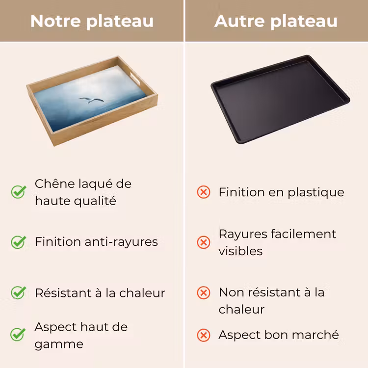 Plateau - Mouette - Blanche - Mer - Brumeuse — 9