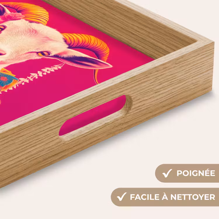 Plateau - Chèvre - Cornes - Kimono - Coloré — 8