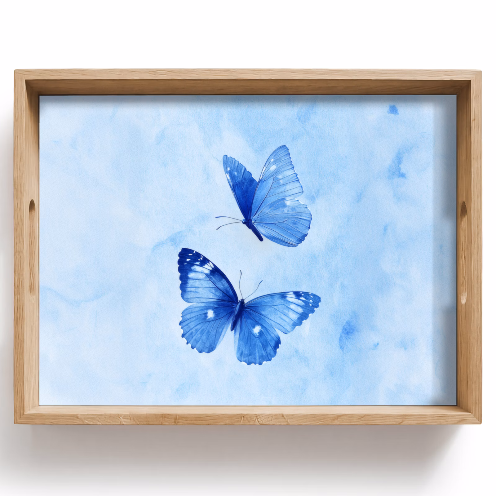 Plateau - Papillons - Ornementaux - Bleu — 1
