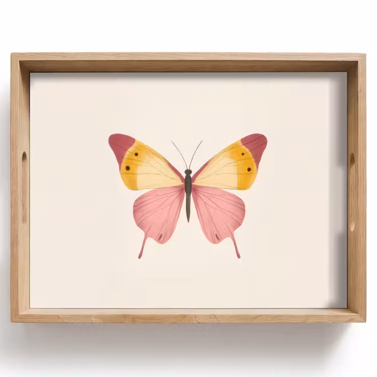 Plateau - Papillon - Illustration - Rose — 1