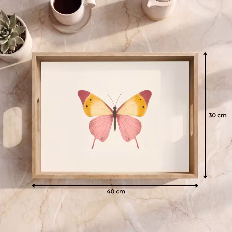 Plateau - Papillon - Illustration - Rose — 7