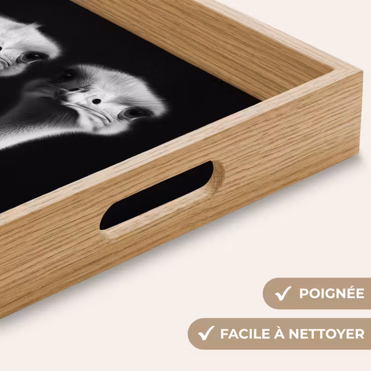 Plateau - Autruches - Cou - Noir - Minimaliste — 8