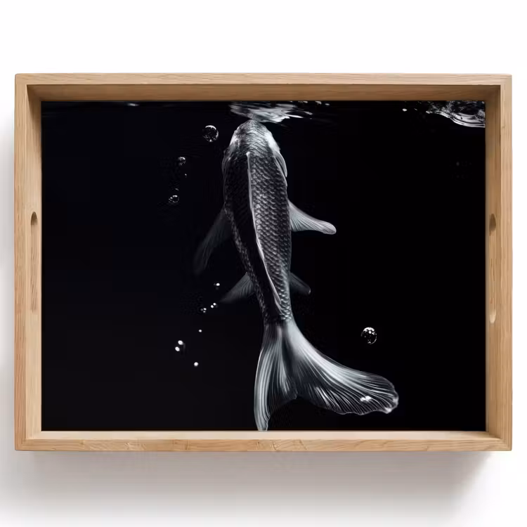 Plateau - Koi - Poisson - Eau - Noir — 1