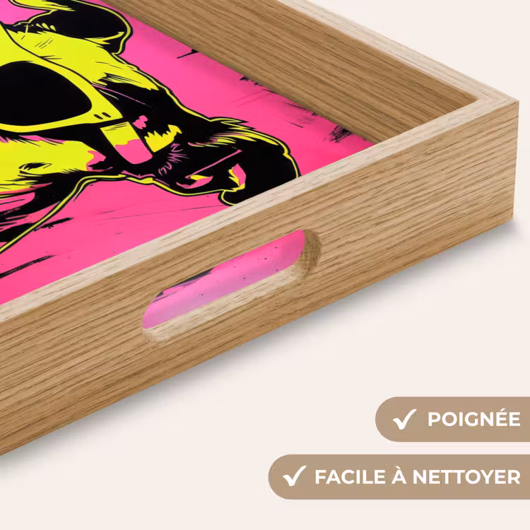 Plateau - Chien - Lunettes de soleil - Rose - Art — 8