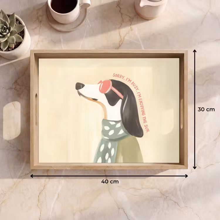 Plateau - Citation - Chien - Lunettes de soleil — 7
