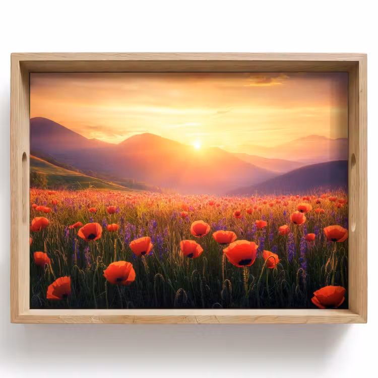 Plateau - Paysage - Coucher de soleil - Champ de fleurs — 1