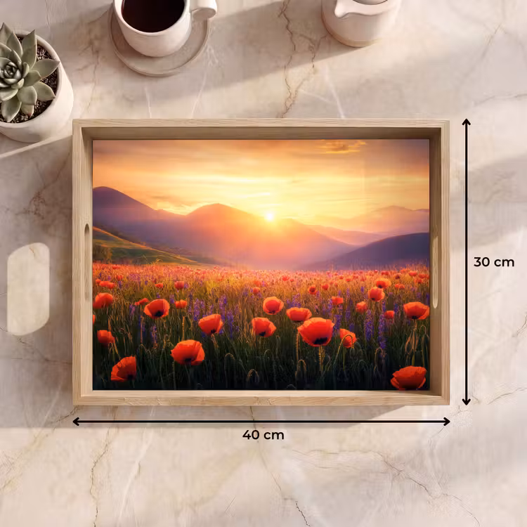 Plateau - Paysage - Coucher de soleil - Champ de fleurs — 7