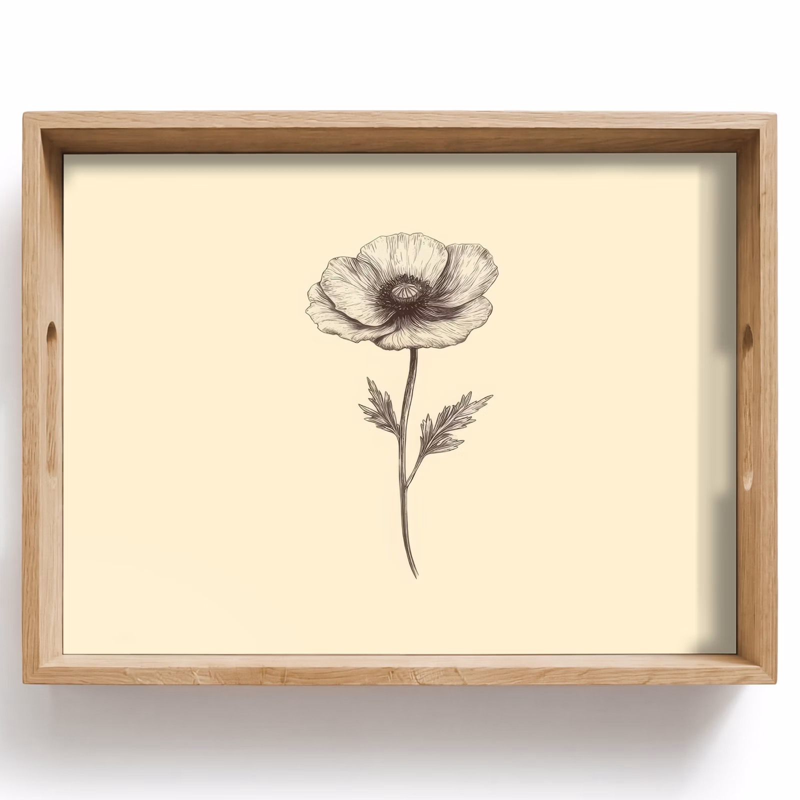 Plateau - Coquelicot - Illustration - Noir — 1