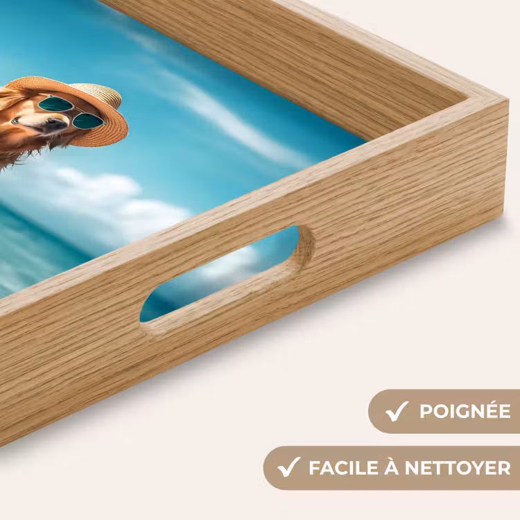 Plateau - Eau de mer - Chien - Golden retriever - Lunettes de soleil — 8