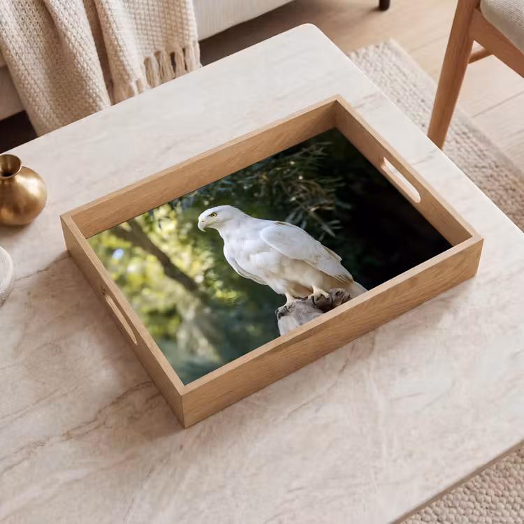 Plateau - Aigle - Bois - Blanc - Plantes — 2