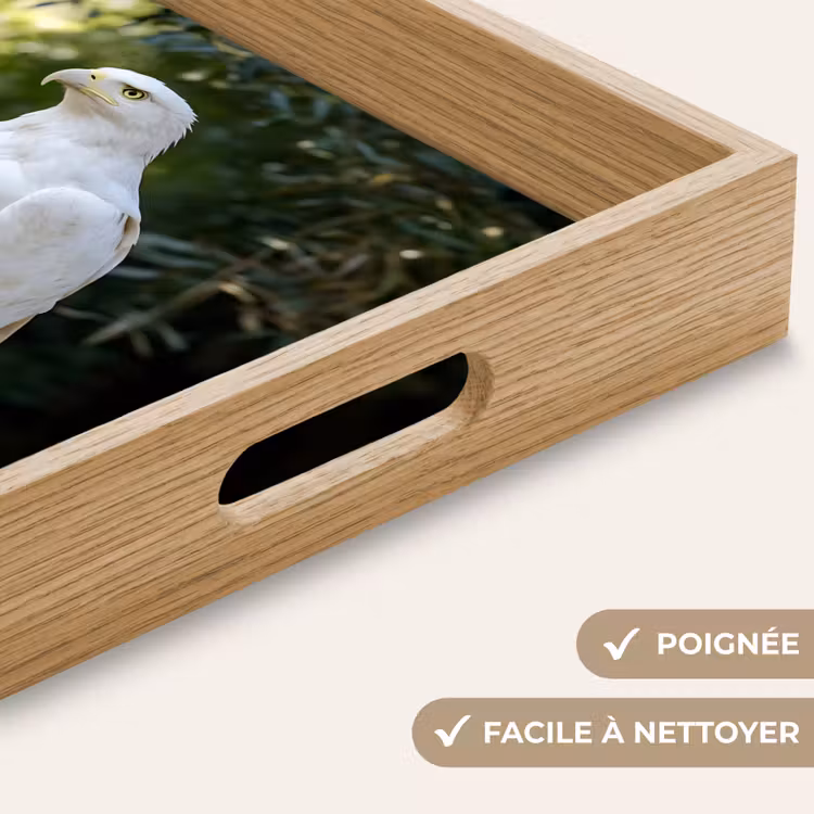 Plateau - Aigle - Bois - Blanc - Plantes — 8