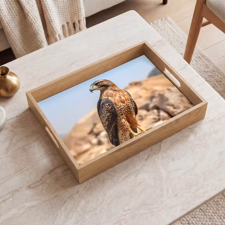 Plateau - Faucon - Oiseau - Rocher - Puissance — 2