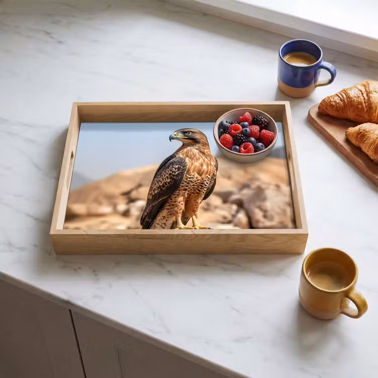 Plateau - Faucon - Oiseau - Rocher - Puissance — 3