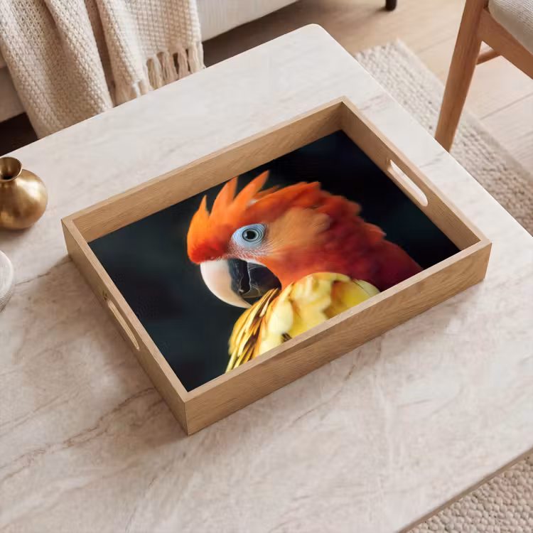 Plateau - Gros plan - Perroquet - Plumes - Orange — 2