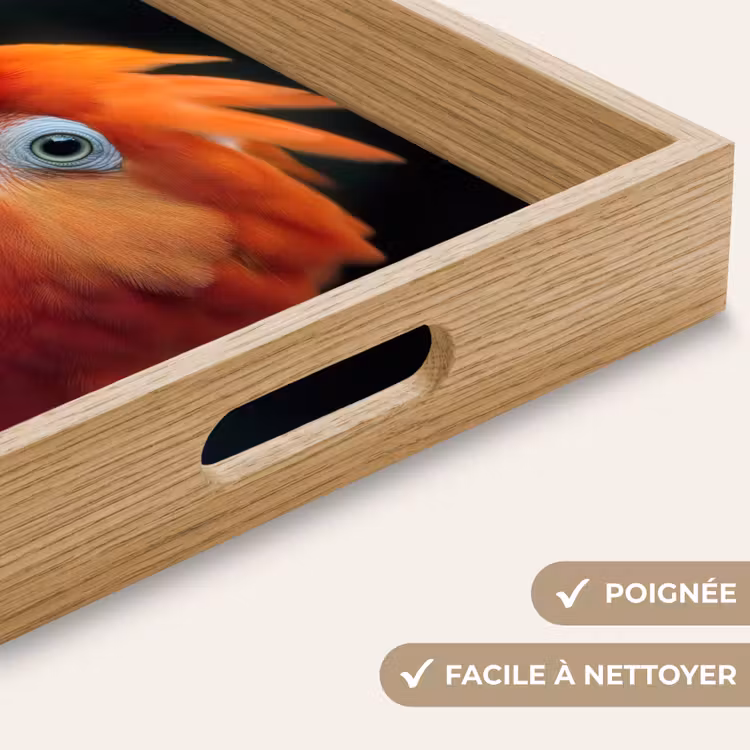 Plateau - Gros plan - Perroquet - Plumes - Orange — 8