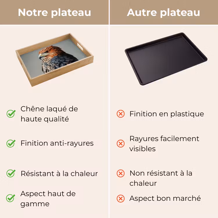 Plateau - Oiseau - Réaliste - Plumes - Marron — 9