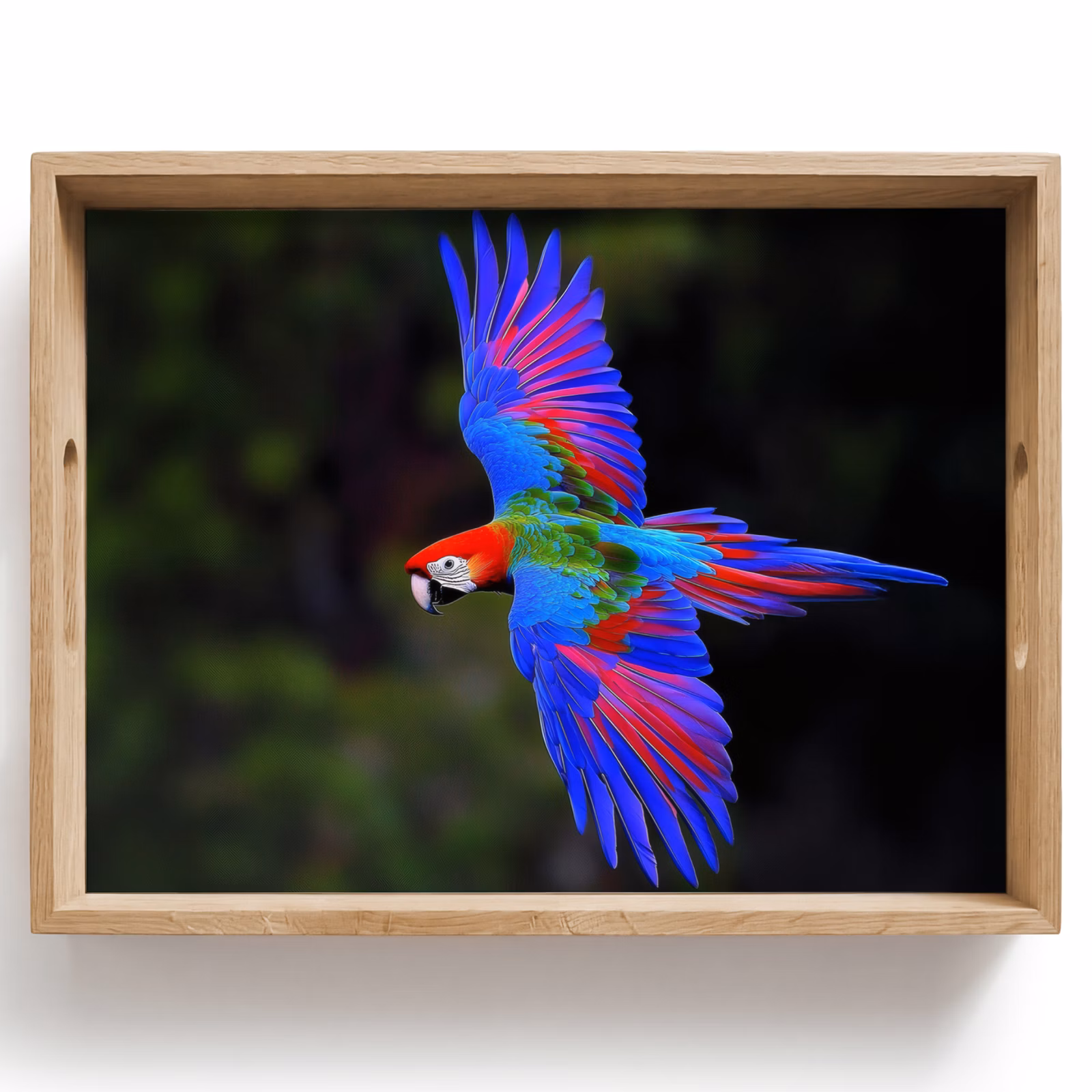 Plateau - Couleurs vives - Perroquet - Forêt - Ailes — 1