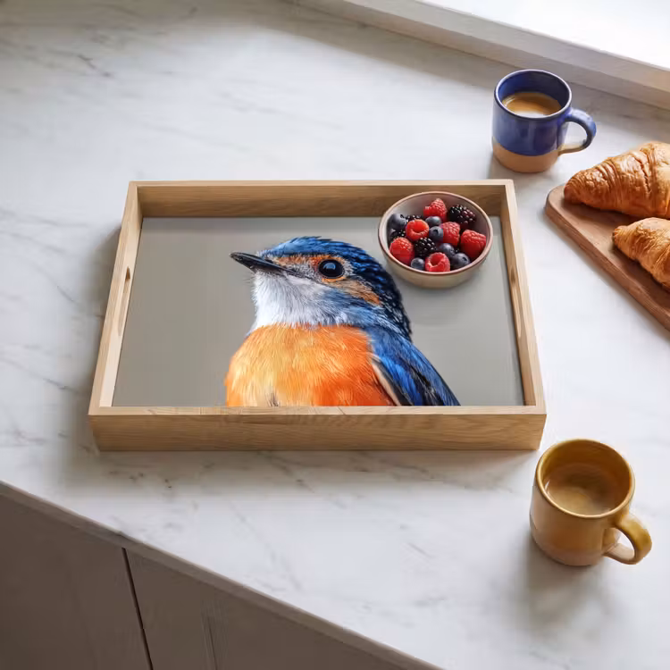 Plateau - Coloré - Oiseau - Plumes - Bleu — 3