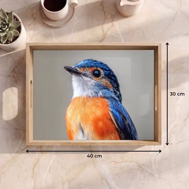 Plateau - Coloré - Oiseau - Plumes - Bleu — 7