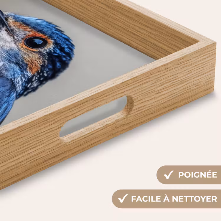 Plateau - Coloré - Oiseau - Plumes - Bleu — 8