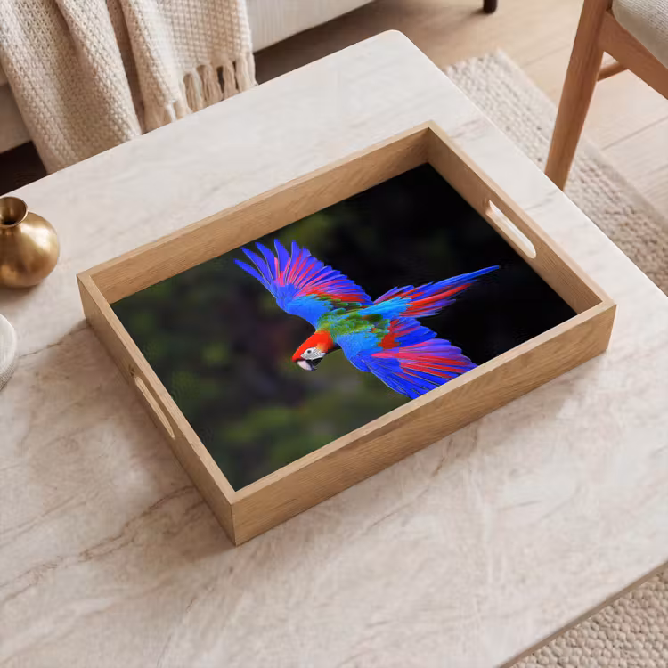 Plateau - Couleurs vives - Perroquet - Forêt - Ailes — 2