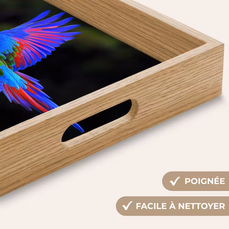 Plateau - Couleurs vives - Perroquet - Forêt - Ailes — 8