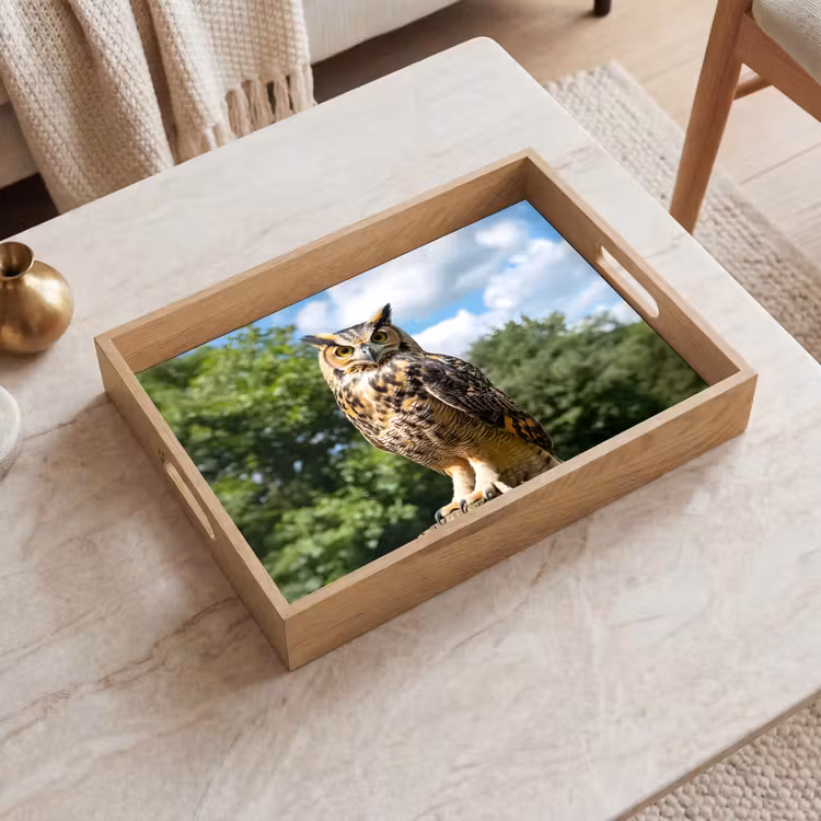 Plateau - Hibou - Tronc d'arbre - Forêt - Ciel — 2