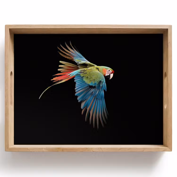 Plateau - Perroquet - coloré - ailes - orné — 1