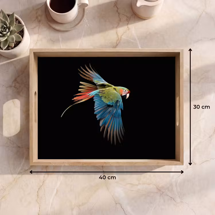 Plateau - Perroquet - coloré - ailes - orné — 7
