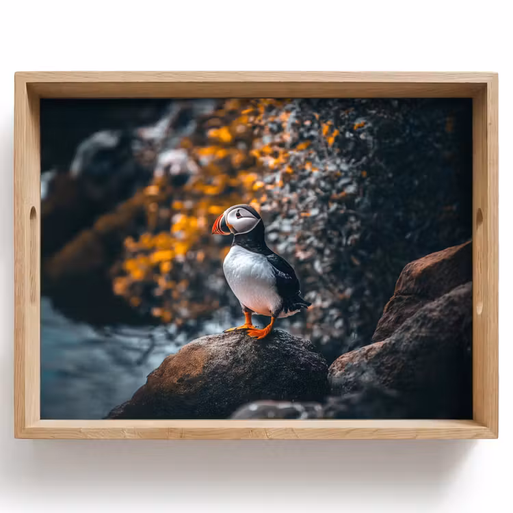 Plateau - Perroquet - Oiseau - Roche - Blanc — 1