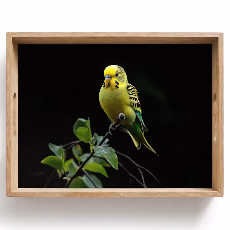 Plateau - Perruche - Branche - Feuilles - Jaune — 1