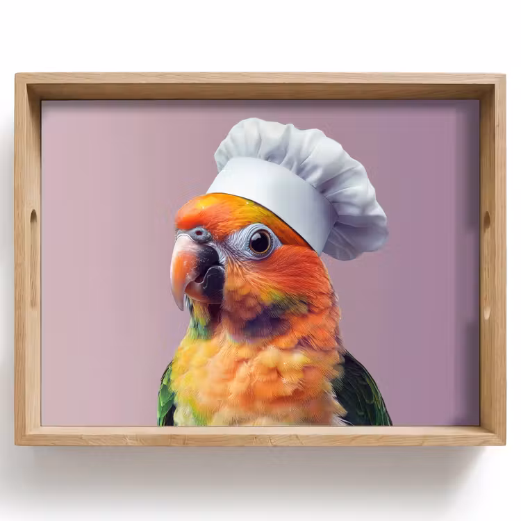 Plateau - Perroquet - Toque - Curieux - Oiseau — 1
