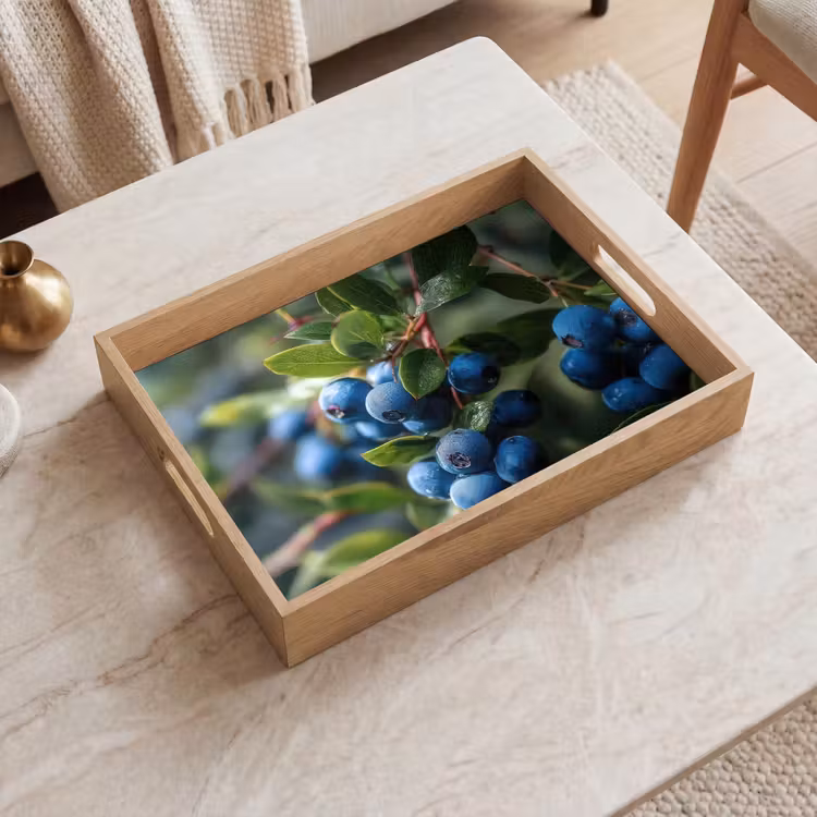Plateau - Bleuets - Gouttes de rosée - Lumière naturelle — 2