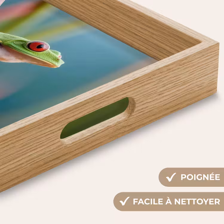 Plateau - Grenouille colorée - Tige verte - Alerte — 8